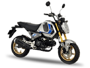 GROM-FS
