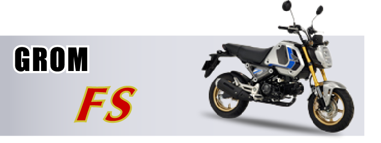 GROM-FS