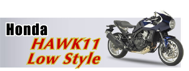 hawk11 LS