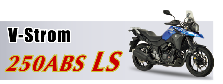 V-Strom ABS LS
